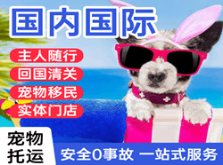 铜仁凤凰航空快递国际宠物托运 【国